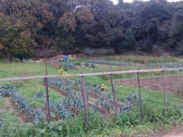 Terreno en venta en Isla, Arnuero