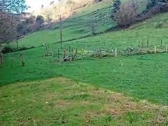 Terreno en venta en El Avellanal, Arredondo