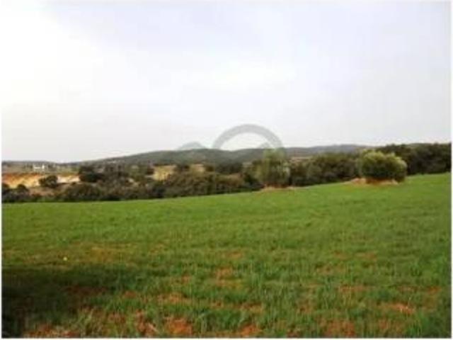 Terreno en venta en Urbanización El olivar, Arriate