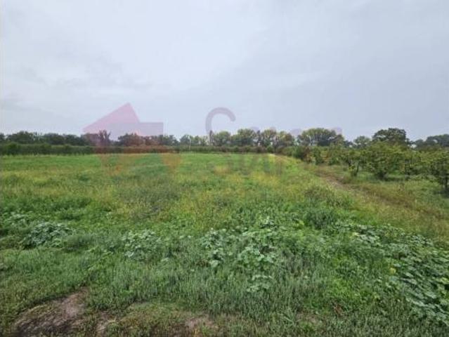 Terreno en venta en Arrúbal