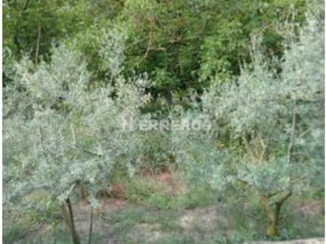 Terreno en venta en Arrúbal