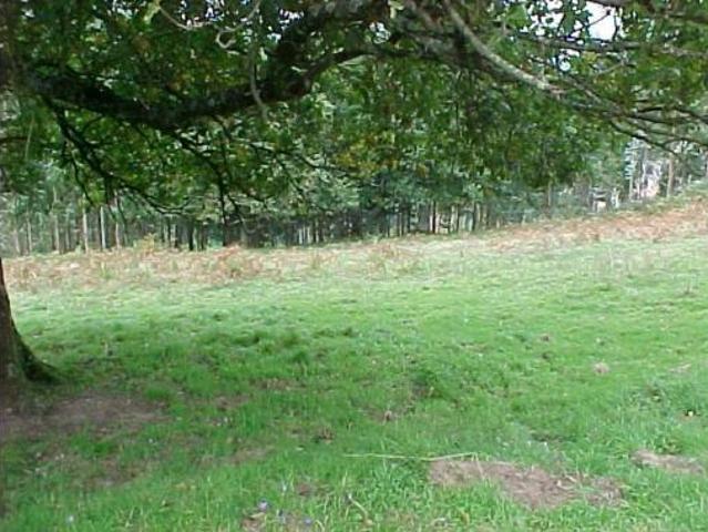 Terreno en venta en Olabarrieta beitia, Sopuerta