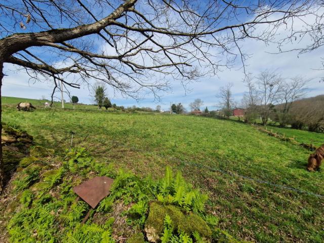 Terreno en venta en Landia, Siero