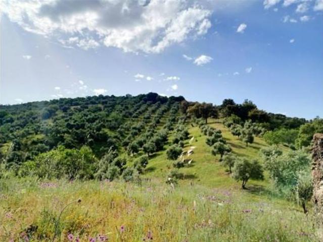 Terreno en venta en Atajate, Málaga