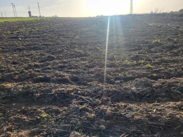 Terreno en venta en Azuaga, Extremadura