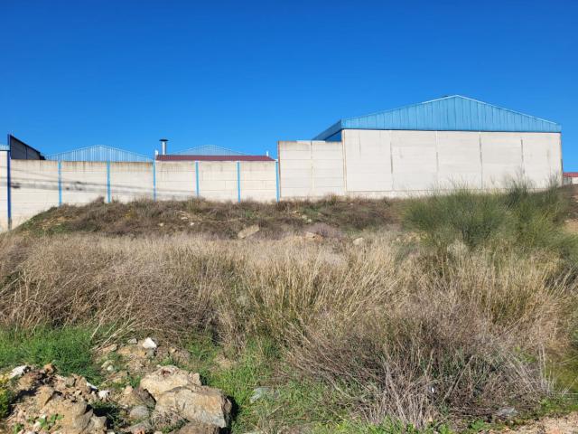 Terreno en venta en Azuaga, Extremadura