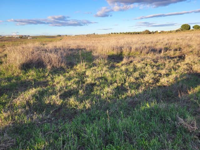 Terreno en venta en Azuaga, Extremadura