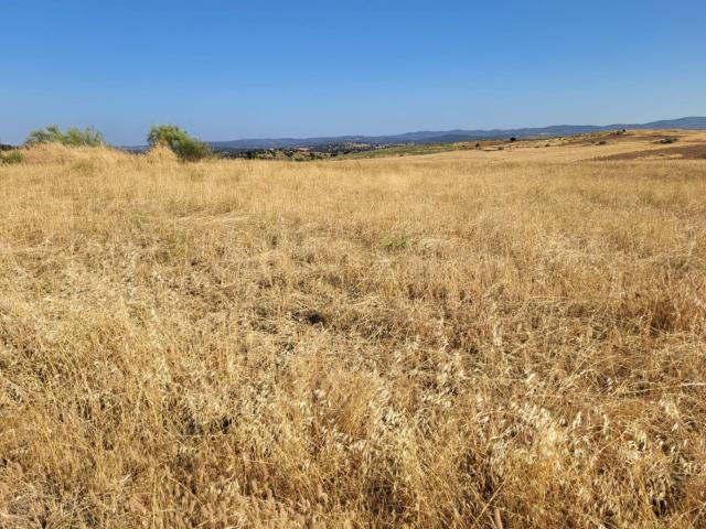 Terreno en venta en Valverde De Llerena, Extremadura