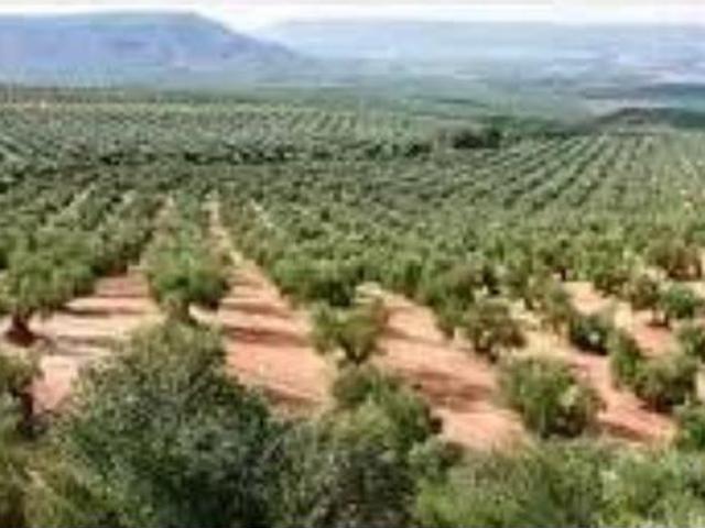 Terreno en venta en Baena, Córdoba