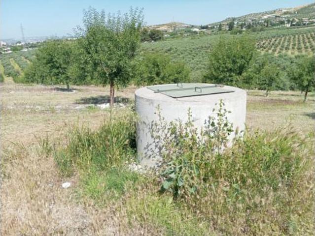 Terreno en venta en Baena, Córdoba