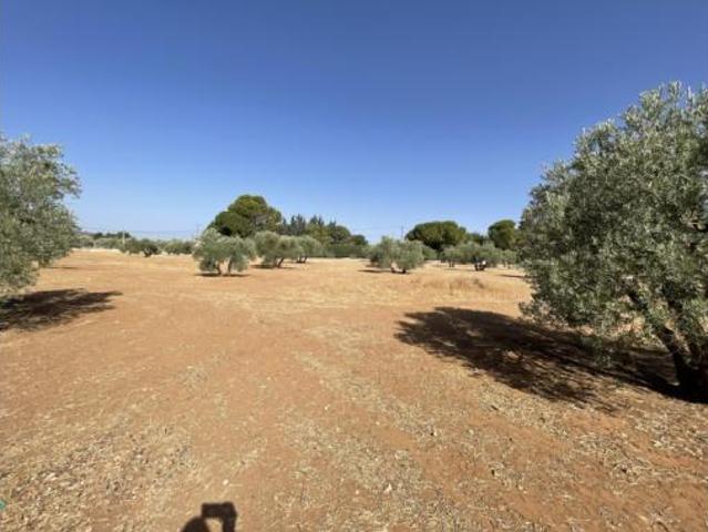 Terreno en venta en Baeza, Jaén