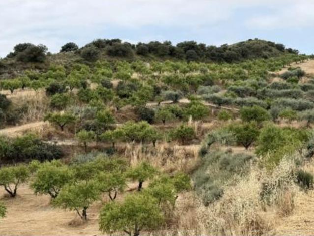 Terreno en venta en Balaguer, Lleida