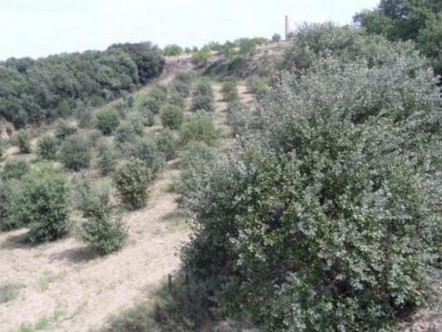 Terreno en venta en Cregenzán, Barbastro