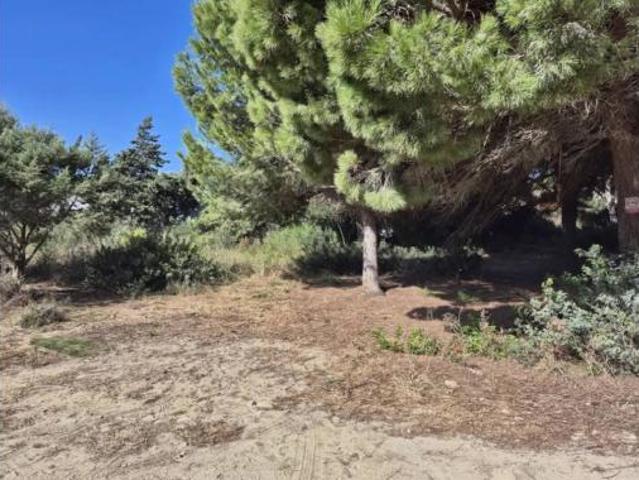 Terreno en venta en Barrio de La Paz, Barbate