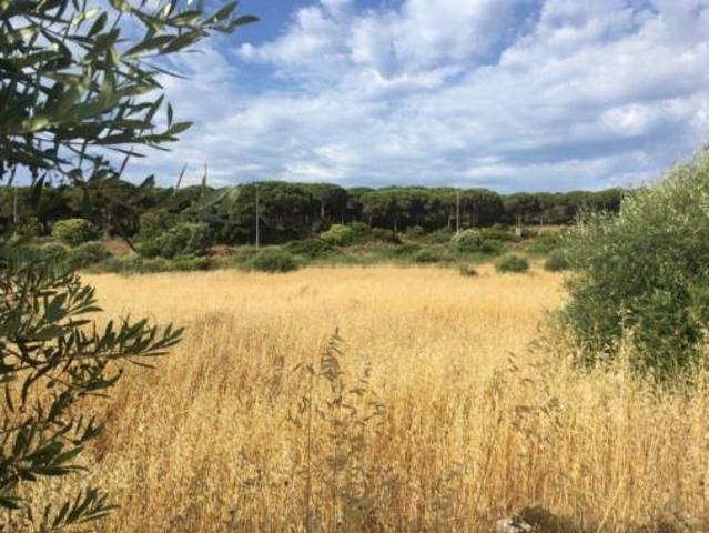 Terreno en venta en Polígono Industrial El Olivar, Barbate