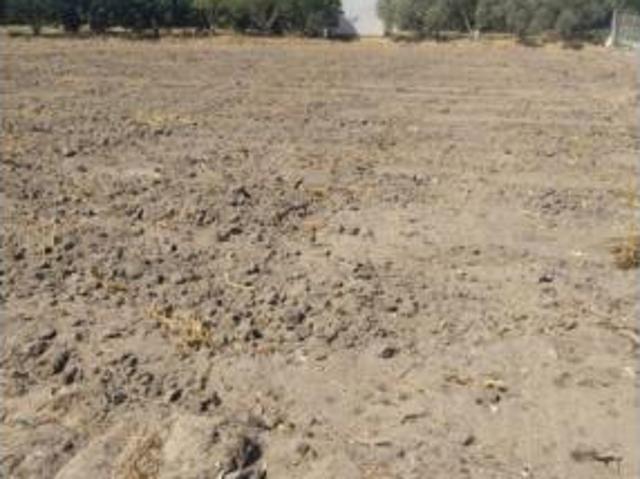 Terreno en venta en Residencial Las Pérgolas, Barbate