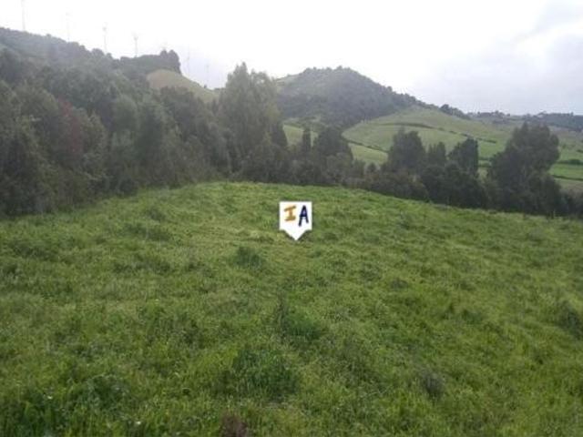 Terreno en venta en Barbate, Cádiz