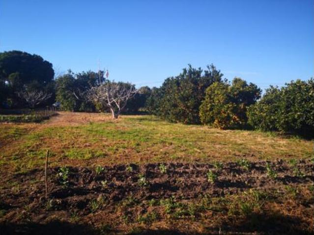 Terreno en venta en Barriada del Pinar, Barbate