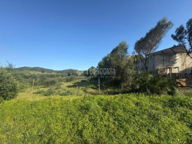 Terreno en venta en Ribera de la Oliva, Barbate