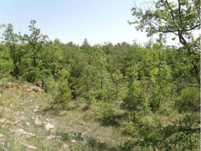 Terreno en venta en Bárcabo, Sobrarbe