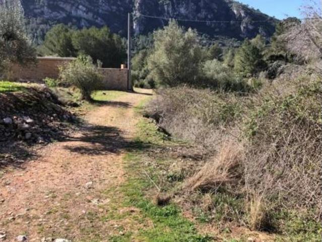 Terreno en venta en Barx, València / Valencia