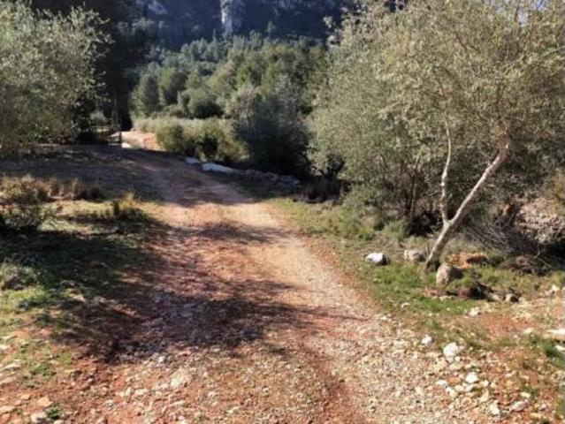 Terreno en venta en Barx, València / Valencia