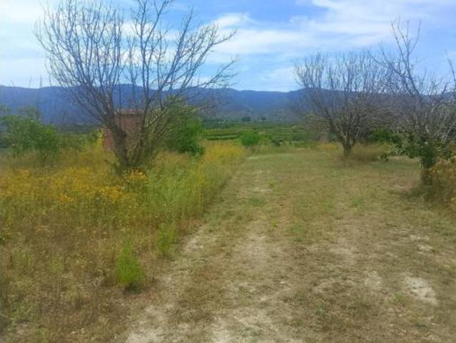 Terreno en venta en Bèlgida, València / Valencia