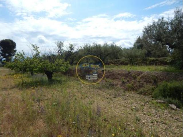 Terreno en venta en Bèlgida, València / Valencia
