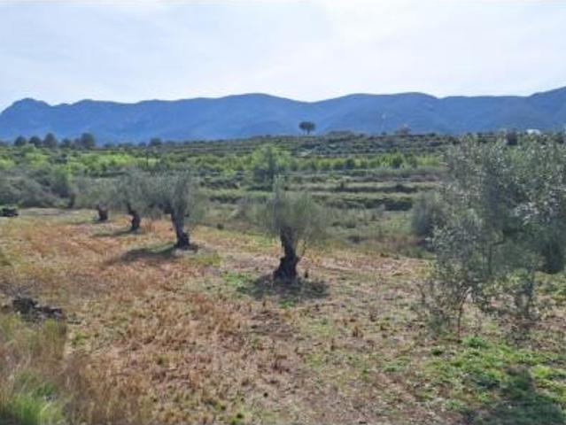 Terreno en venta en Bèlgida, València / Valencia