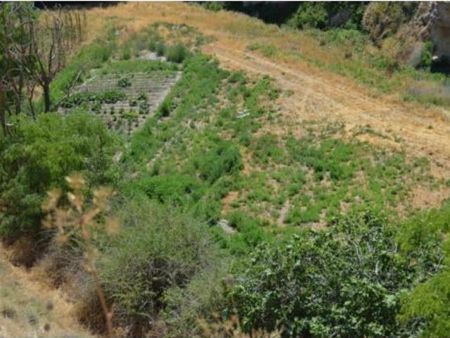 Terreno en venta en Belinchón, Cuenca