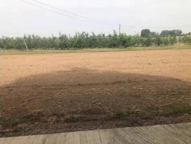 Terreno en venta en Seana, Bellpuig