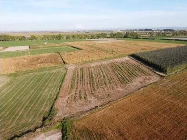 Terreno en venta en els Arcs, Bellvís