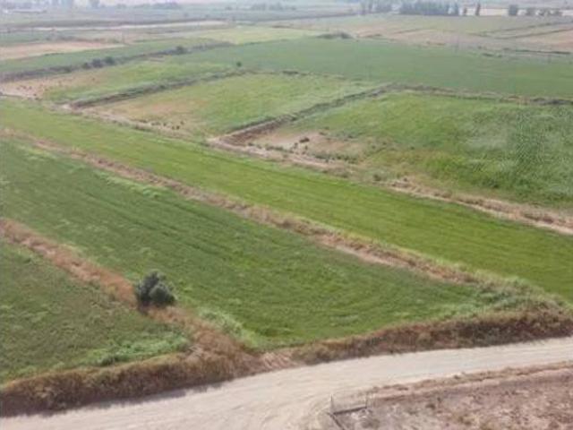 Terreno en venta en els Arcs, Bellvís