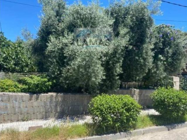 Terreno en venta en Casas de Belvís, Belvís de Monroy