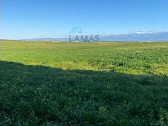 Terreno en venta en Belvís de Monroy, Cáceres