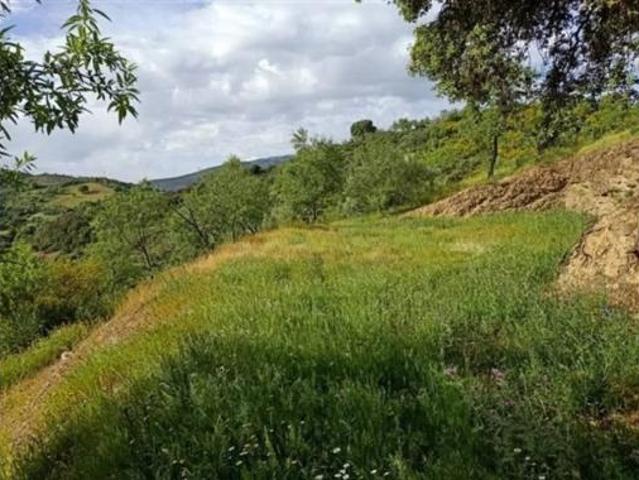 Terreno en venta en Benadalid, Málaga