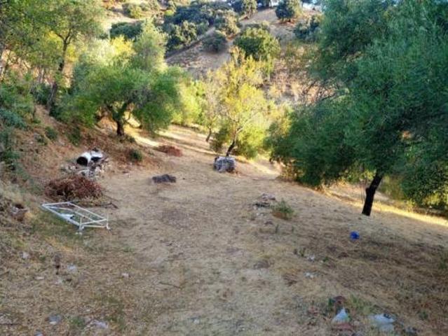 Terreno en venta en Benadalid, Málaga