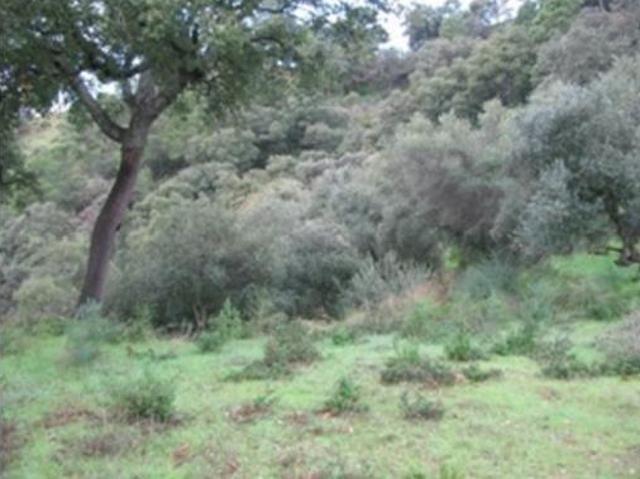 Terreno en venta en Benarrabá, Málaga