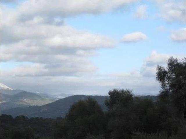 Terreno en venta en Benarrabá, Málaga