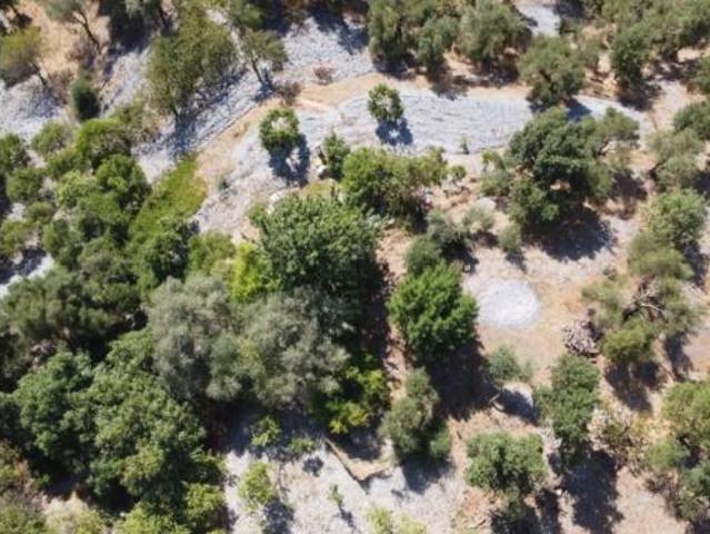 Terreno en venta en Benarrabá, Málaga