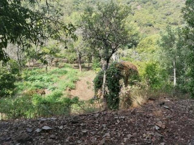 Terreno en venta en Benarrabá, Málaga