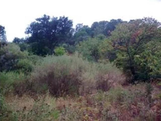 Terreno en venta en Benarrabá, Málaga