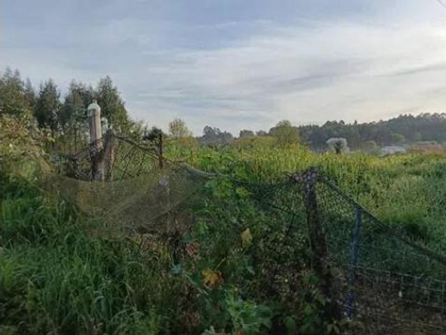 Terreno en venta en Bergondo, Carrio