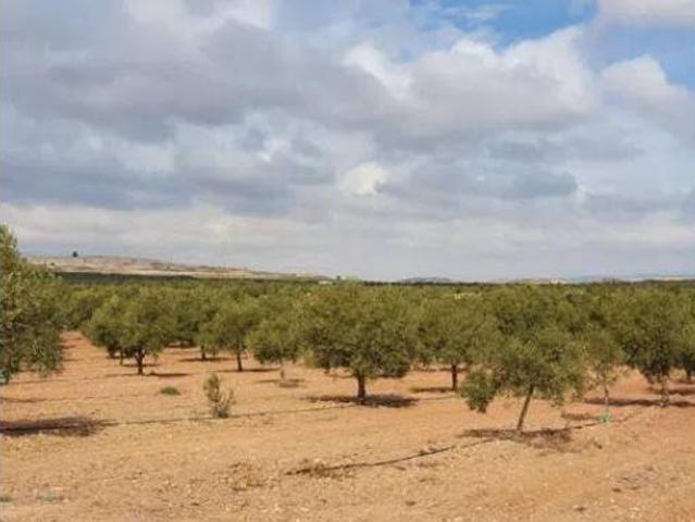Terreno en venta en Estación de Blanca, Blanca