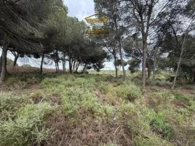 Terreno en venta en Los Lobos, Bonares