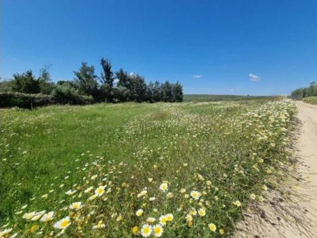 Terreno en venta en Bormujos, Sevilla