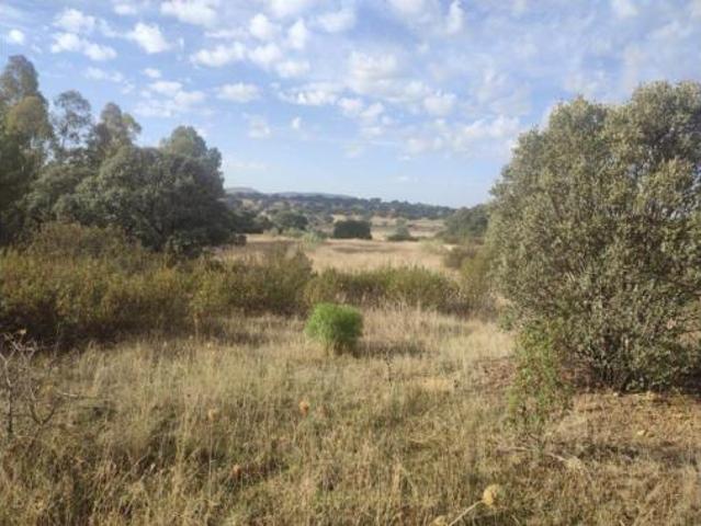 Terreno en venta en Brazatortas, Ciudad Real