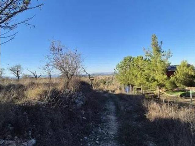 Terreno en venta en Bullas, Región de Murcia