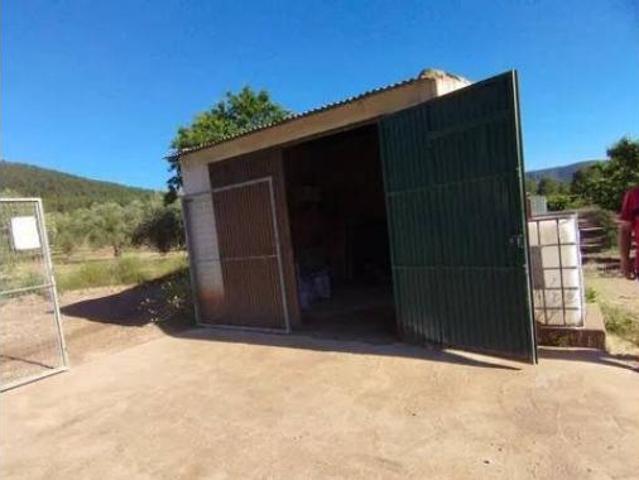 Terreno en venta en El Llano de Bullas, Bullas