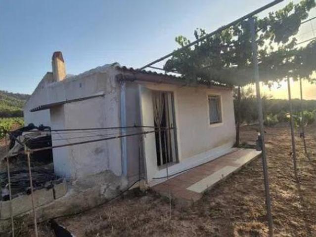 Terreno en venta en Bullas, Región de Murcia